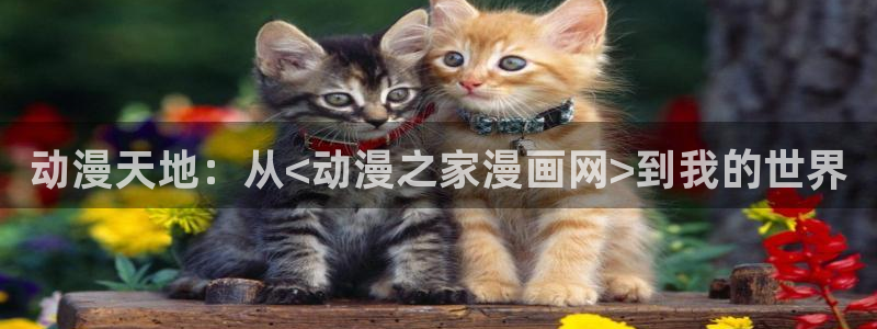 age动漫城下载:动漫天地:从<动漫之家漫画网>到我的世界配图