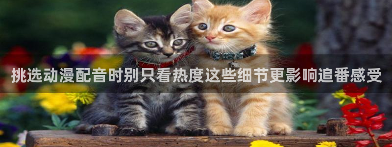age动漫下载最新:挑选动漫配音时别只看热度这些细节更影响追番感受配图