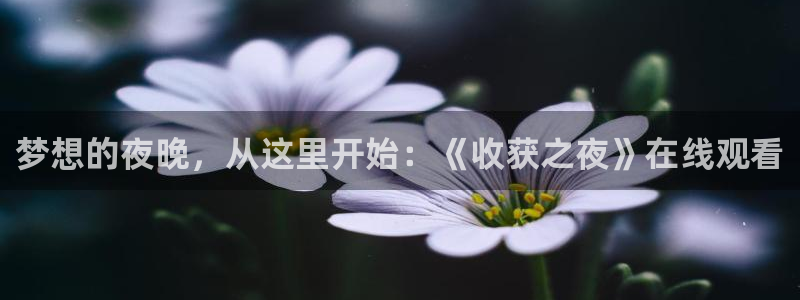 age动漫屋下载：梦想的夜晚，从这里开始：《收获之夜》在线观看配图