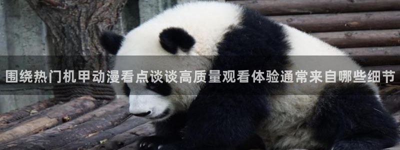 age动漫下载步骤:围绕热门机甲动漫看点谈谈高质量观看体验通常来自哪些细节配图