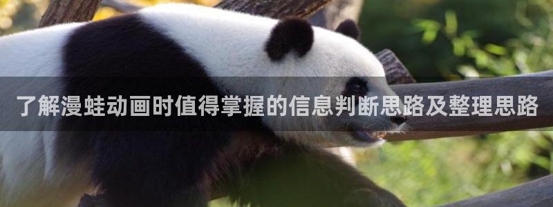 age动漫地址下载:了解漫蛙动画时值得掌握的信息判断思路及整理思路配图