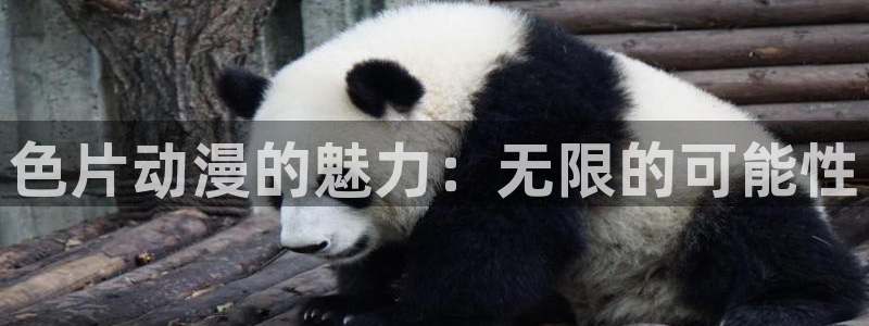 age动漫在哪下载:色片动漫的魅力:无限的可能性配图
