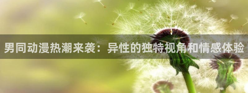 ios下载age动漫:男同动漫热潮来袭:异性的独特视角和情感体验配图