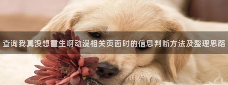 age动漫下载更新:查询我真没想重生啊动漫相关页面时的信息判断方法及整理思路配图