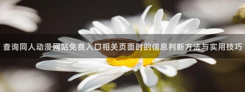 age动漫下载官方:查询同人动漫网站免费入口相关页面时的信息判断方法与实用技巧配图